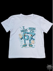 T002six1 (6-16) 6 SZT BLUZKA