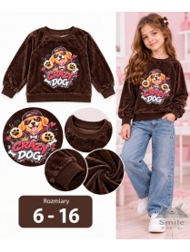 22602br (6-16) 6 szt bluza