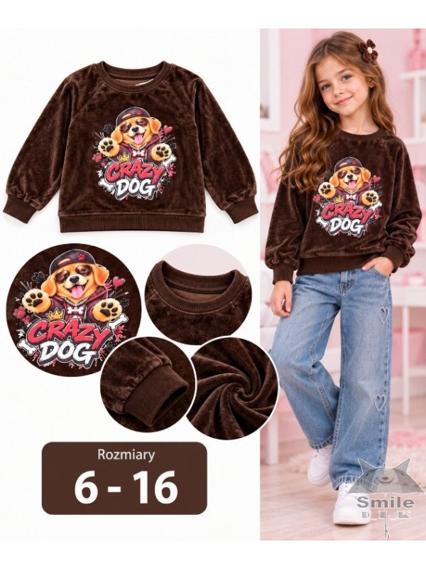 22602br (6-16) 6 szt bluza